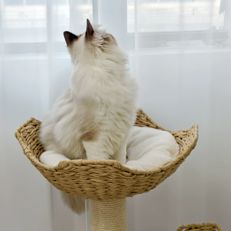 Arbre à chat en bois avec paniers tressés et griffoir en sisal 111 cm