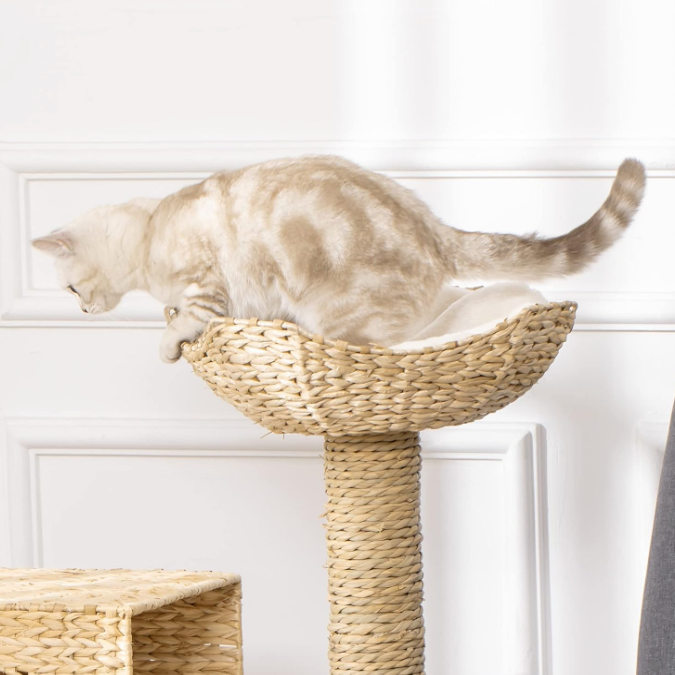 Arbre à chat 100,5 cm avec niche, panier supérieur, échelle et poteaux en sisal
