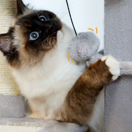 Arbre à chat 73 cm avec niche, hamac, plateforme et poteaux en sisal