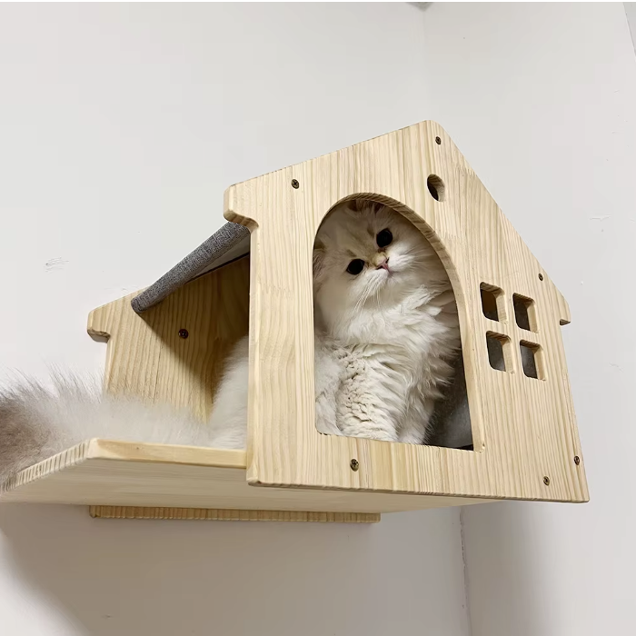 Parcours mural pour chat avec niches en bois, plateformes et pont suspendu