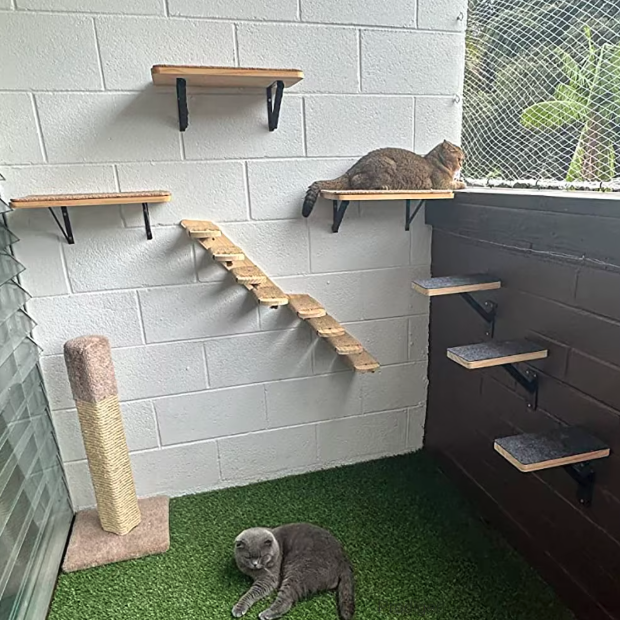 Modules muraux pour parcours de chat avec plateformes, hamacs et éléments en bois