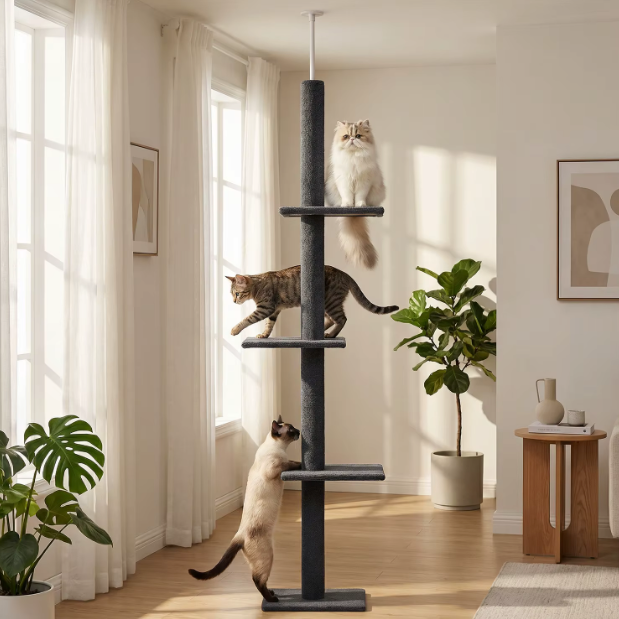 Arbre à chat réglable du sol au plafond avec plateformes et poteaux en sisal