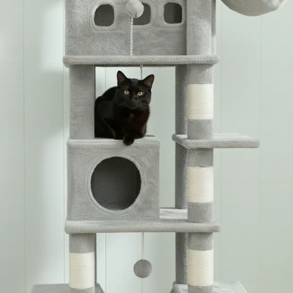Arbre à chat multi-niveaux avec niche, hamac et plateformes