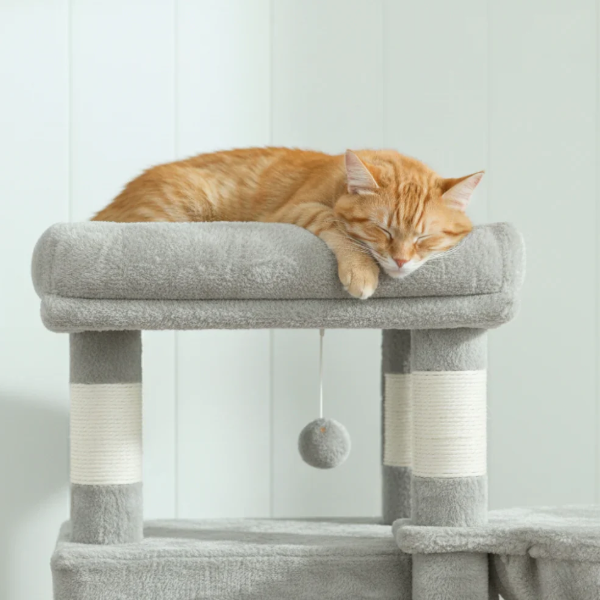 Arbre à chat multi-niveaux avec niche, hamac et plateformes