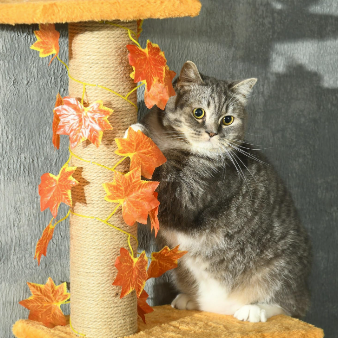 Arbre à chat réglable sol plafond avec plateformes et poteau en jute