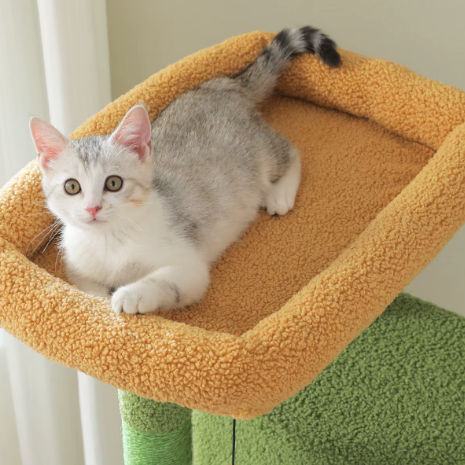 Arbre à chat multi-niveaux 180 cm avec niches, hamac et plateformes