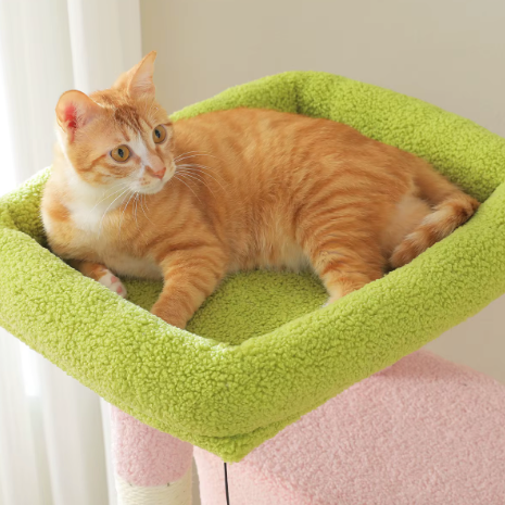Arbre à chat multi-niveaux 180 cm avec niches, hamac et plateformes