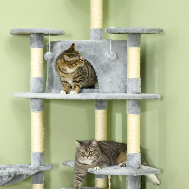 Arbre à chat multi-niveaux 200 cm avec niches, plateformes et hamacs