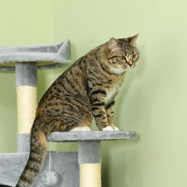 Arbre à chat multi-niveaux 200 cm avec niches, plateformes et hamacs