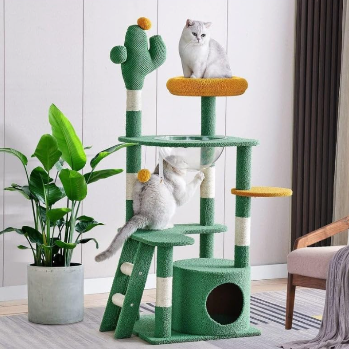 Arbre à chat cactus multi-niveaux avec capsule transparente et niche