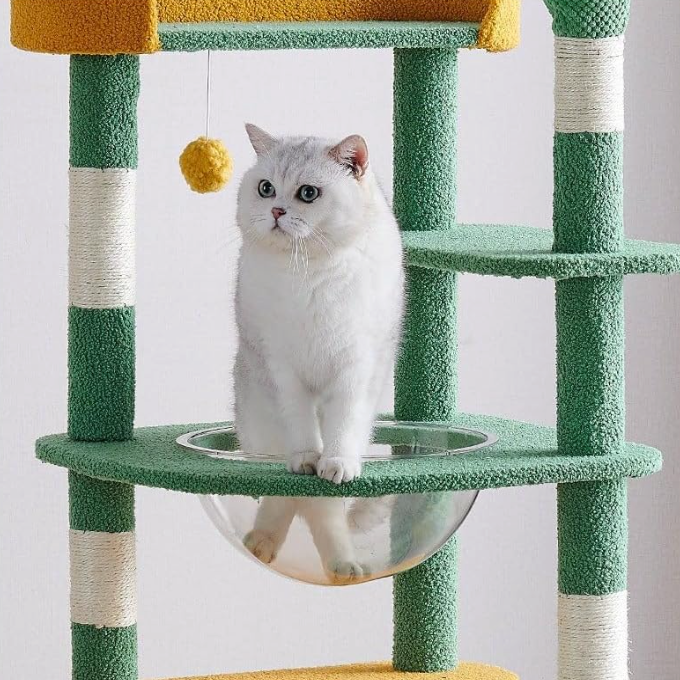 Arbre à chat cactus multi-niveaux avec capsule transparente et niche