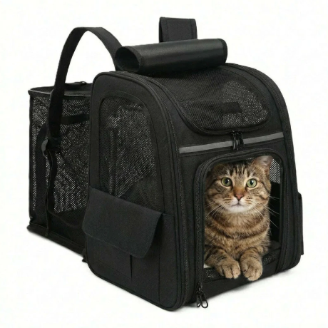 Sac à dos de transport pour chat pliable avec compartiment latéral en maille dépliable