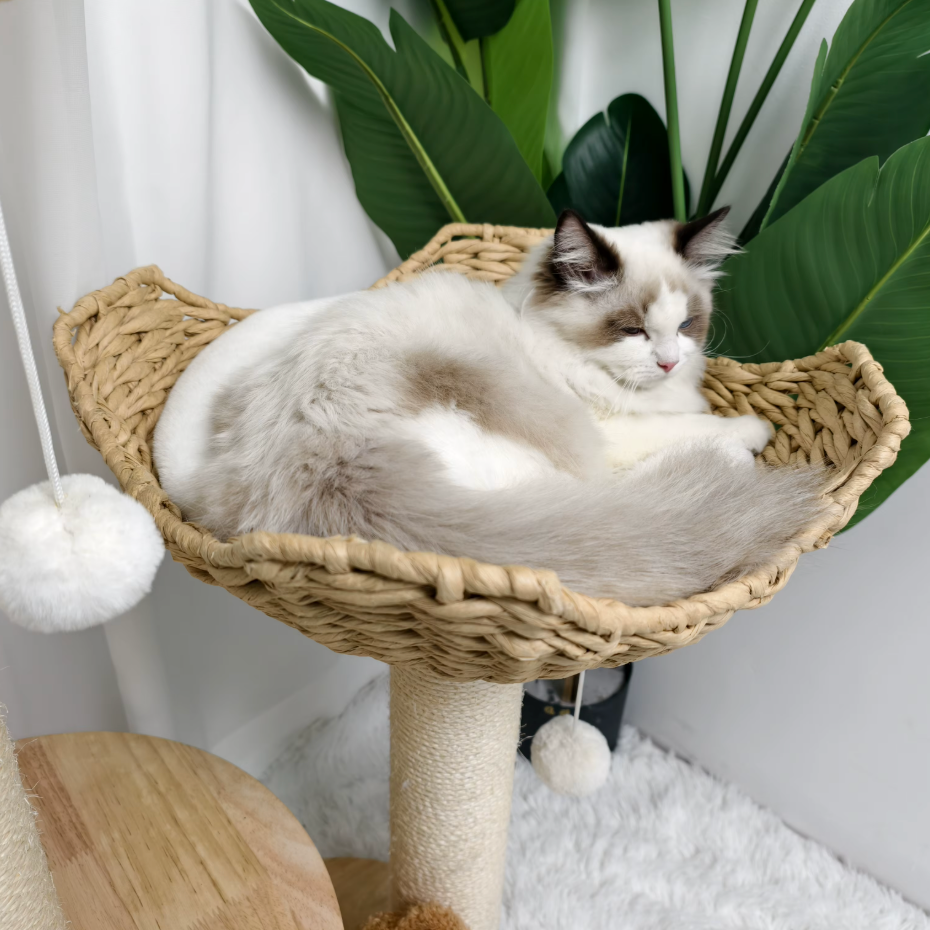 Arbre à chat en bois avec paniers tressés et griffoir en sisal 111 cm