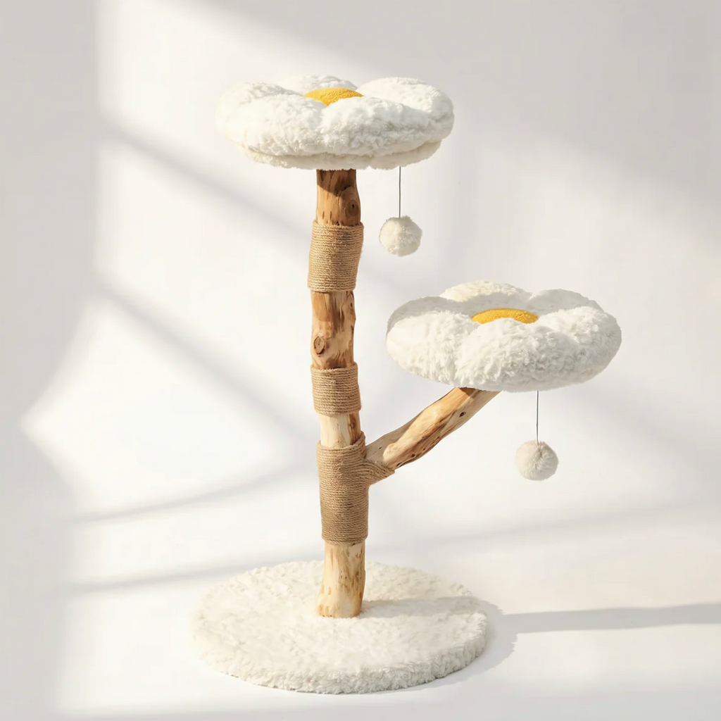 Arbre à chat en bois 90 cm, 2 plateformes rondes, poteaux en sisal