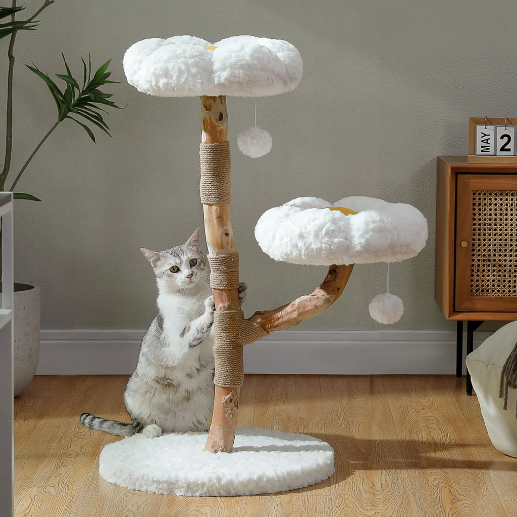 Arbre à chat en bois 90 cm, 2 plateformes rondes, poteaux en sisal