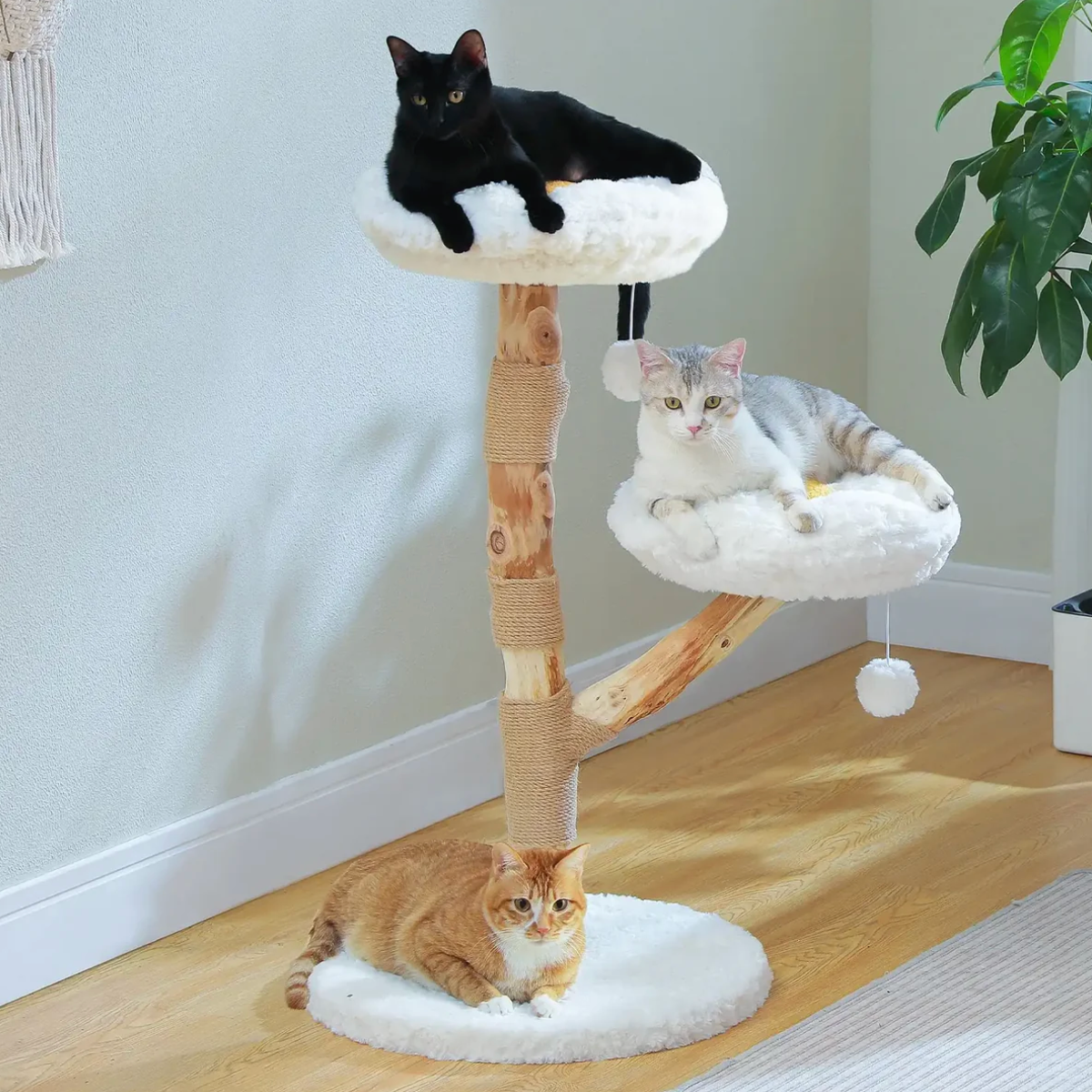 Arbre à chat en bois 90 cm, 2 plateformes rondes, poteaux en sisal