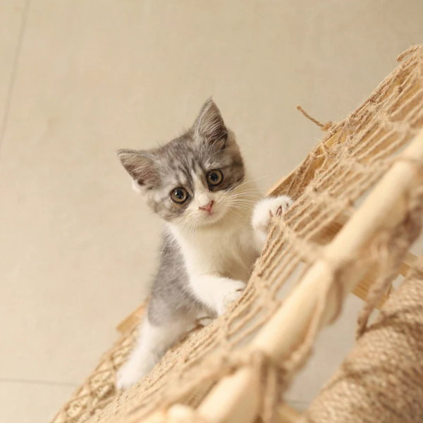 Arbre à chat triangulaire en bois avec filet d’escalade et hamac 85 cm