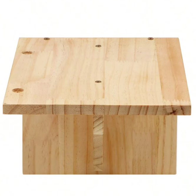 Parcours mural pour chat avec niches en bois, plateformes et pont suspendu