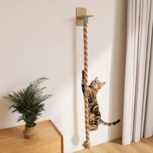 Corde murale pour chat en sisal
