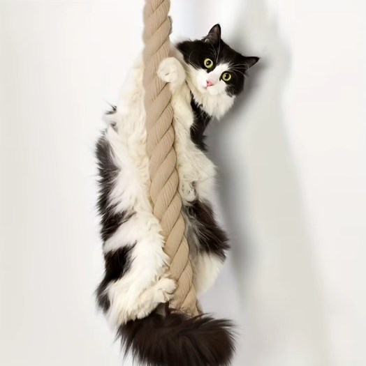 Corde murale pour chat en sisal