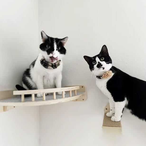 Plateforme murale d’angle pour chat en bois