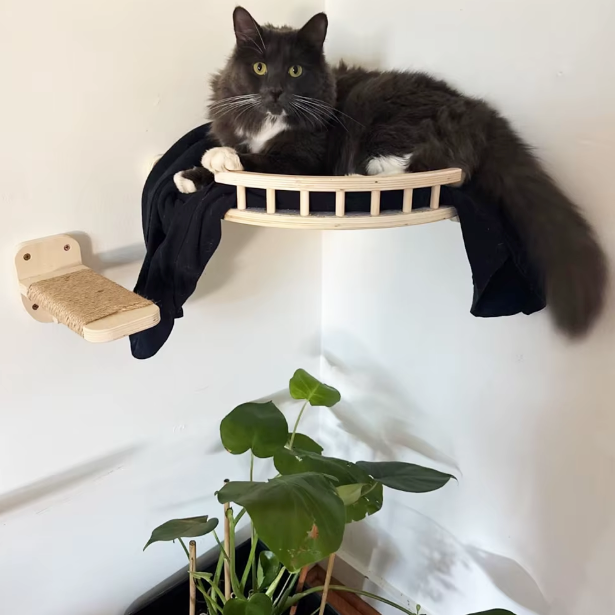 Plateforme murale d’angle pour chat en bois
