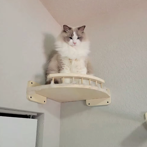 Plateforme murale d’angle pour chat en bois