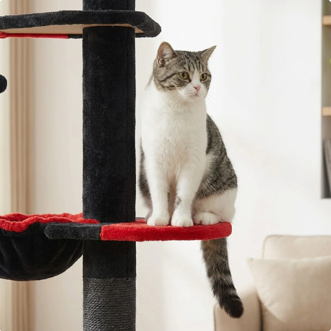 Arbre à chat réglable du sol au plafond avec plateformes, niche et hamac