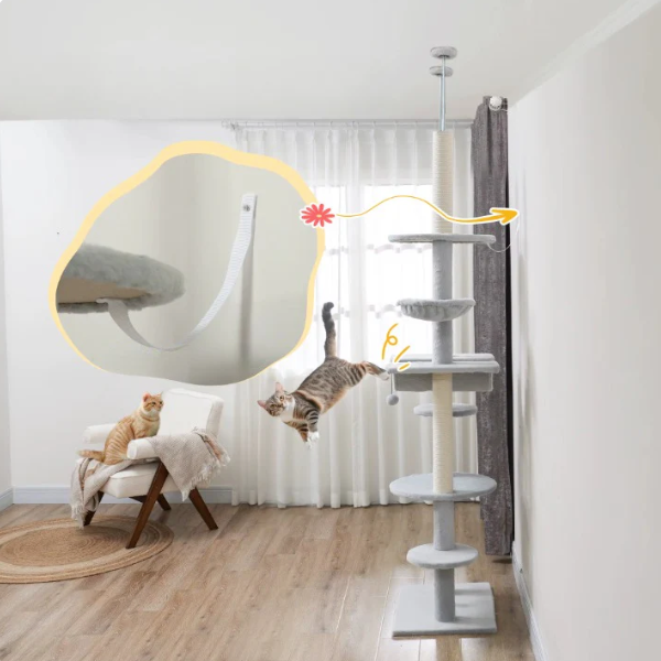 Arbre à chat réglable sol plafond 225–255 cm avec plateformes et hamac