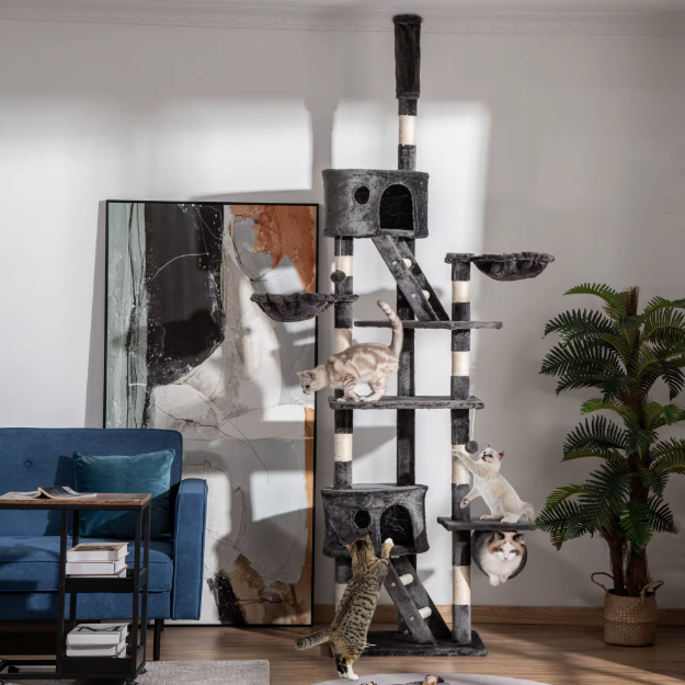 Arbre à chat réglable sol plafond 240–260 cm avec niches, plateformes et hamacs