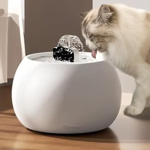 Fontaine à eau pour chat céramique 1,5 L USB
