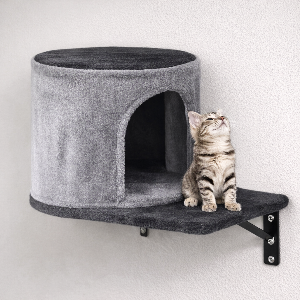 Parcours mural pour chat avec plateformes, niche et hamac