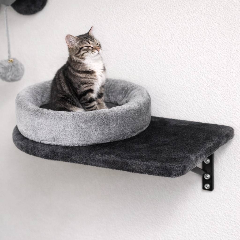 Parcours mural pour chat avec plateformes, niche et hamac
