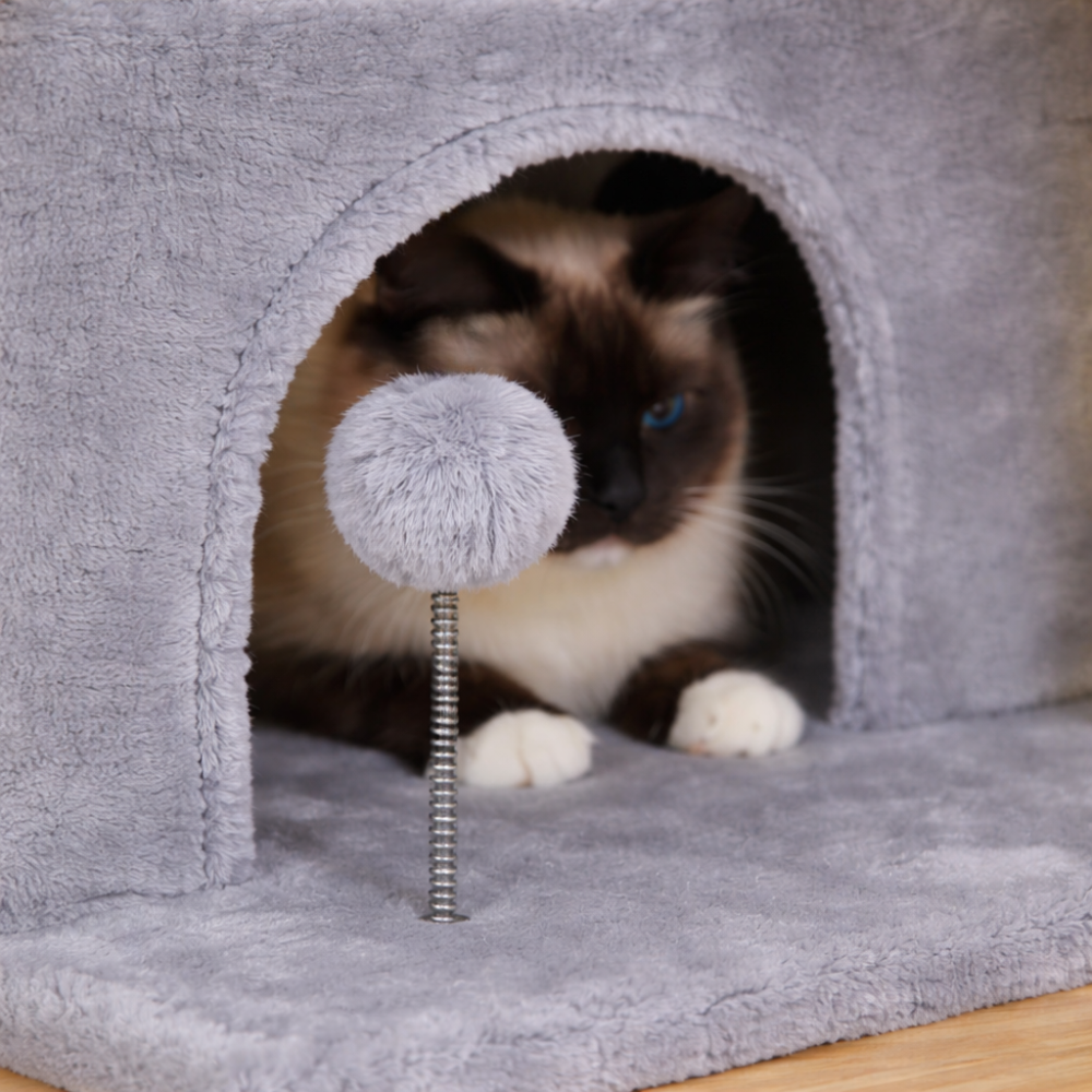 Arbre à chat 80 cm avec niche, plateforme et poteaux en sisal