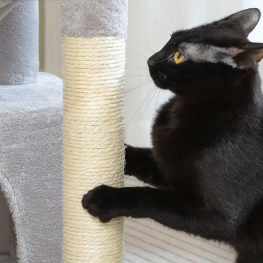 Arbre à chat 84 cm avec niche, hamac et poteaux en sisal