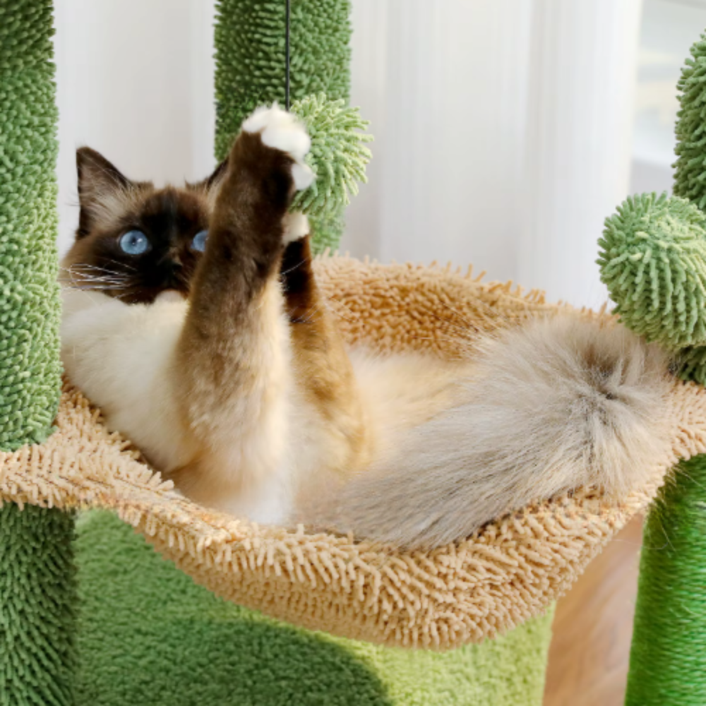 Arbre à chat 84 cm avec niche, hamac et poteaux en sisal