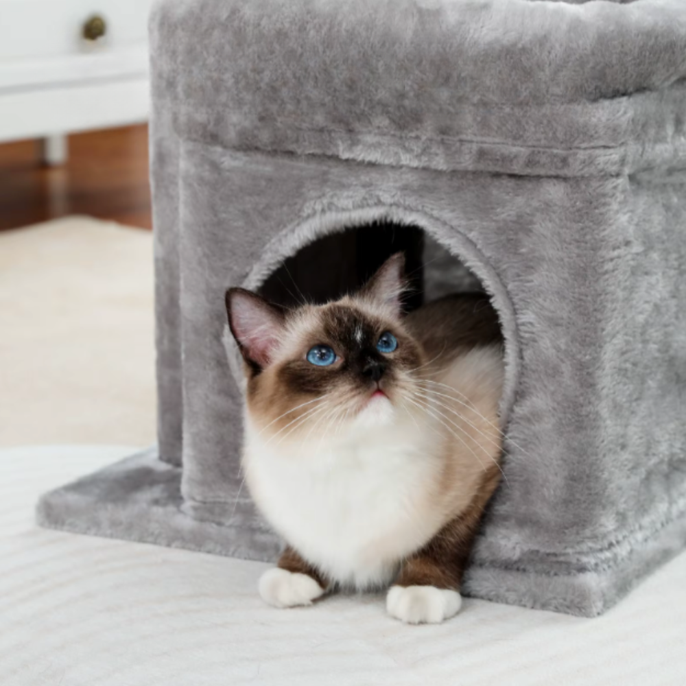 Arbre à chat 84 cm avec niche, hamac, plateforme et poteaux en sisal