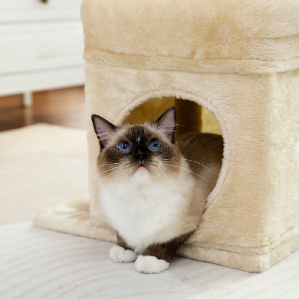 Arbre à chat 84 cm avec niche, hamac, plateforme et poteaux en sisal