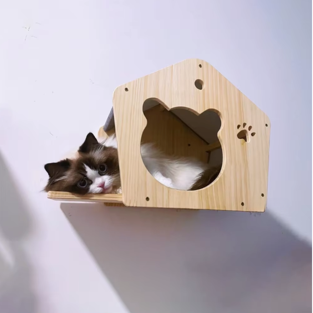 Parcours mural pour chat avec niches en bois, plateformes et pont suspendu