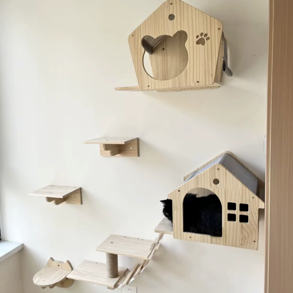 Parcours mural pour chat avec niches en bois, plateformes et pont suspendu