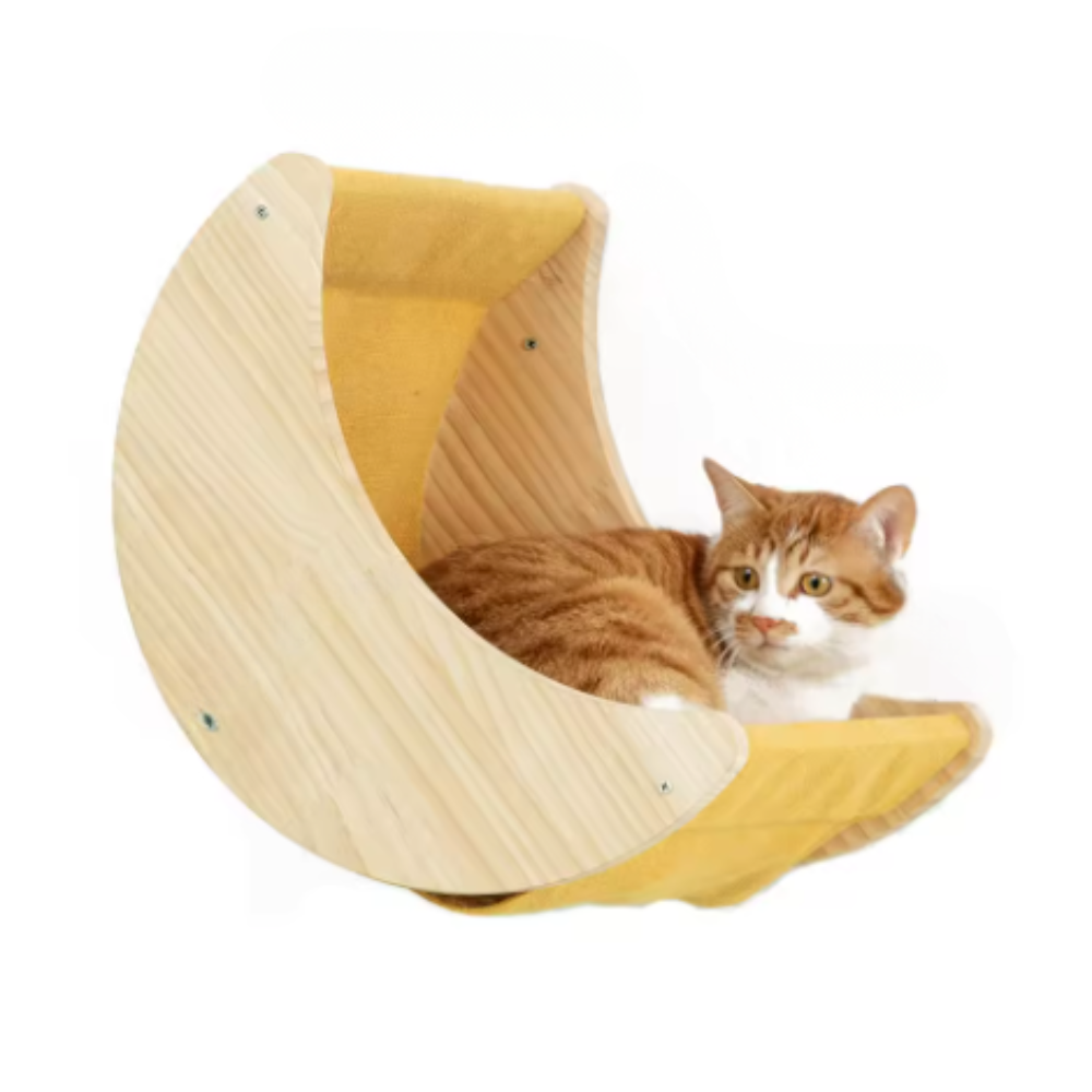 Modules muraux pour parcours de chat avec plateformes, hamacs et éléments en bois
