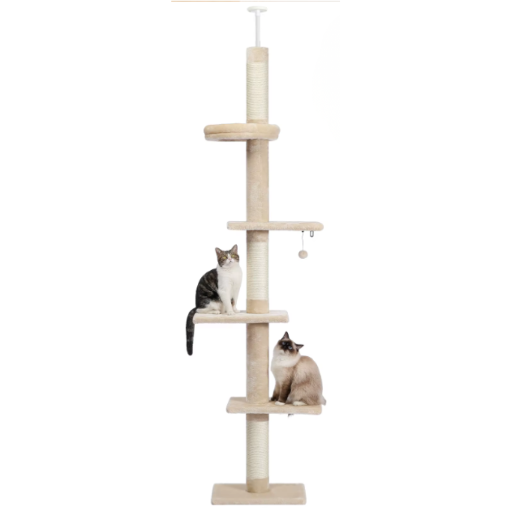Arbre à chat réglable du sol au plafond avec poteaux en sisal