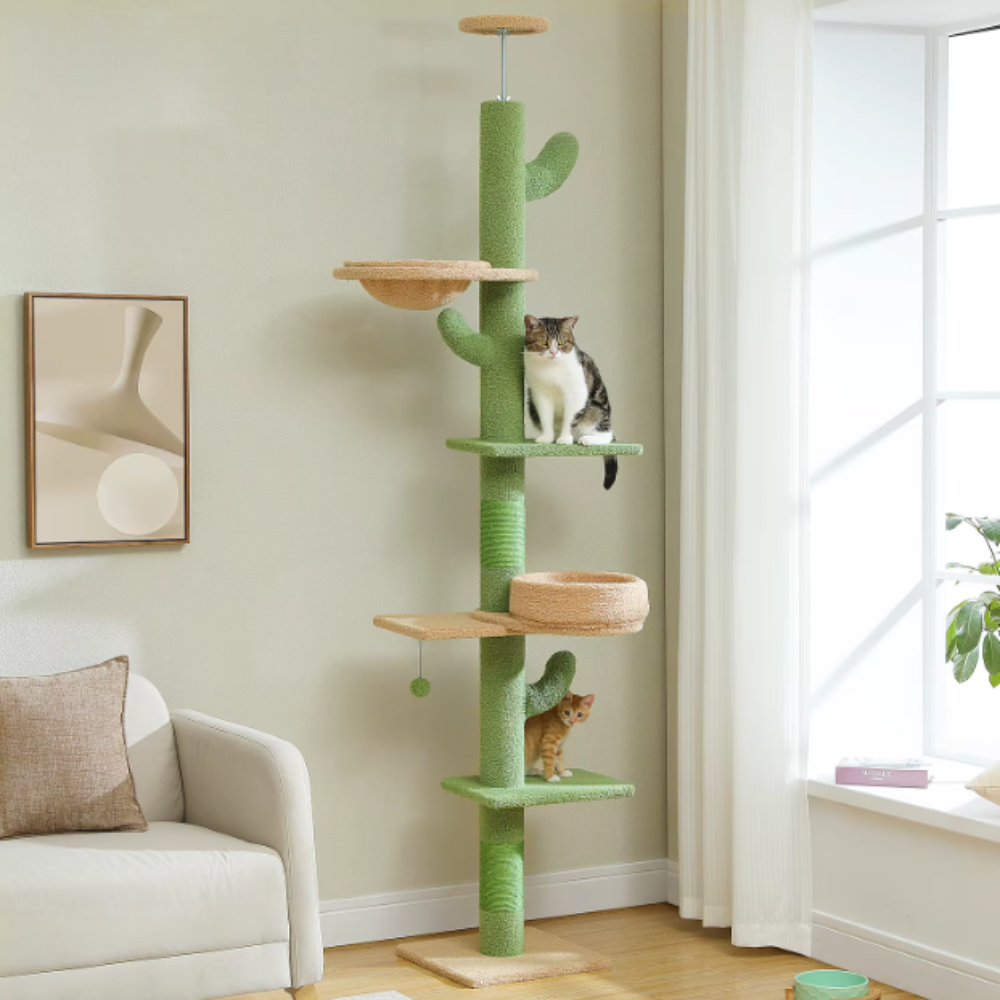 Arbre à chat cactus réglable du sol au plafond avec plateformes et poteaux en sisal