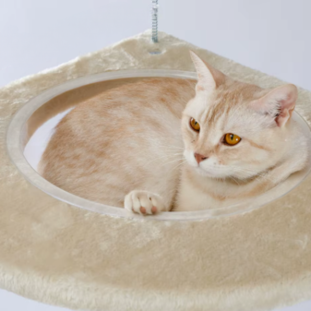 Arbre à chat réglable du sol au plafond avec plateformes, niche et hamacs
