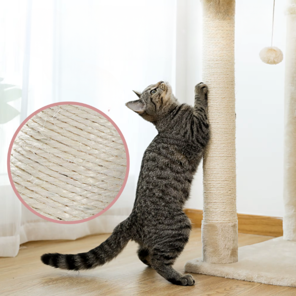 Arbre à chat réglable du sol au plafond avec plateformes, niche et hamacs