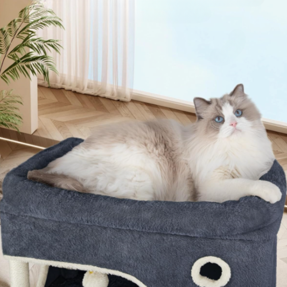 Arbre à chat multi-niveaux 178 cm avec niche, hamac et panier suspendu
