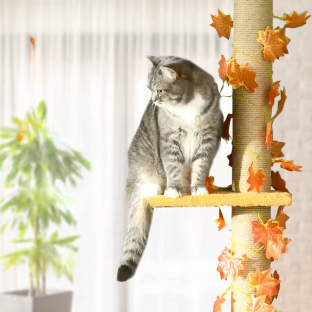 Arbre à chat réglable sol plafond avec plateformes et poteau en jute
