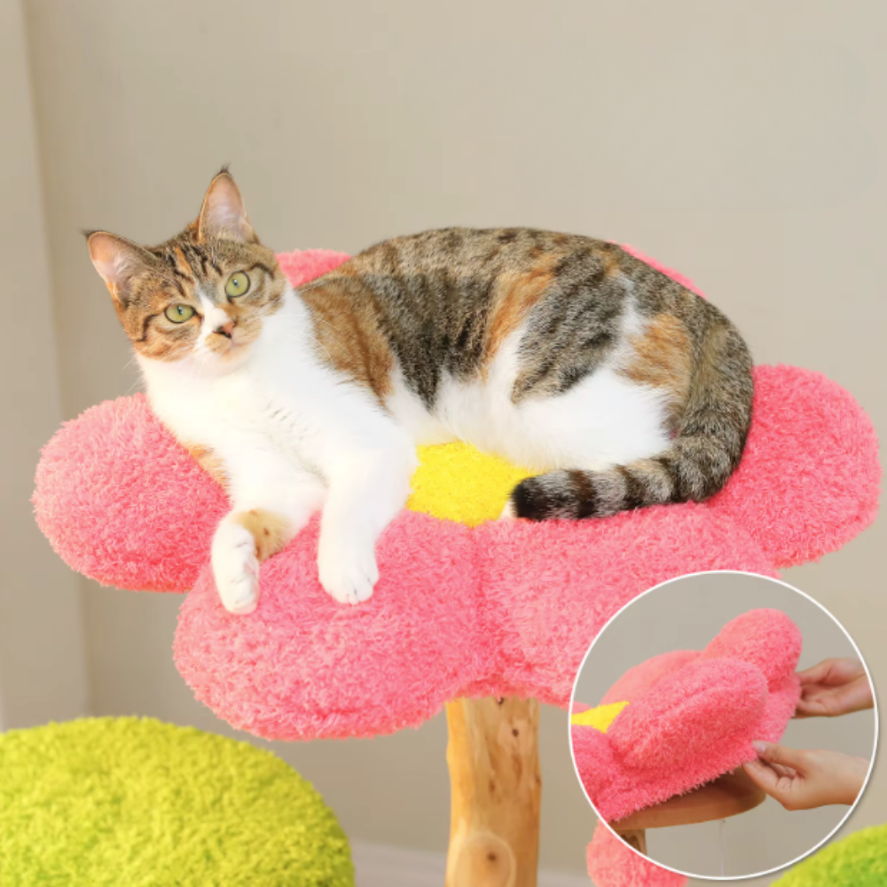 Arbre à chat multi-niveaux style tronc avec niches et plateformes