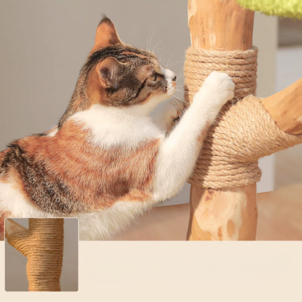 Arbre à chat multi-niveaux style tronc avec niches et plateformes