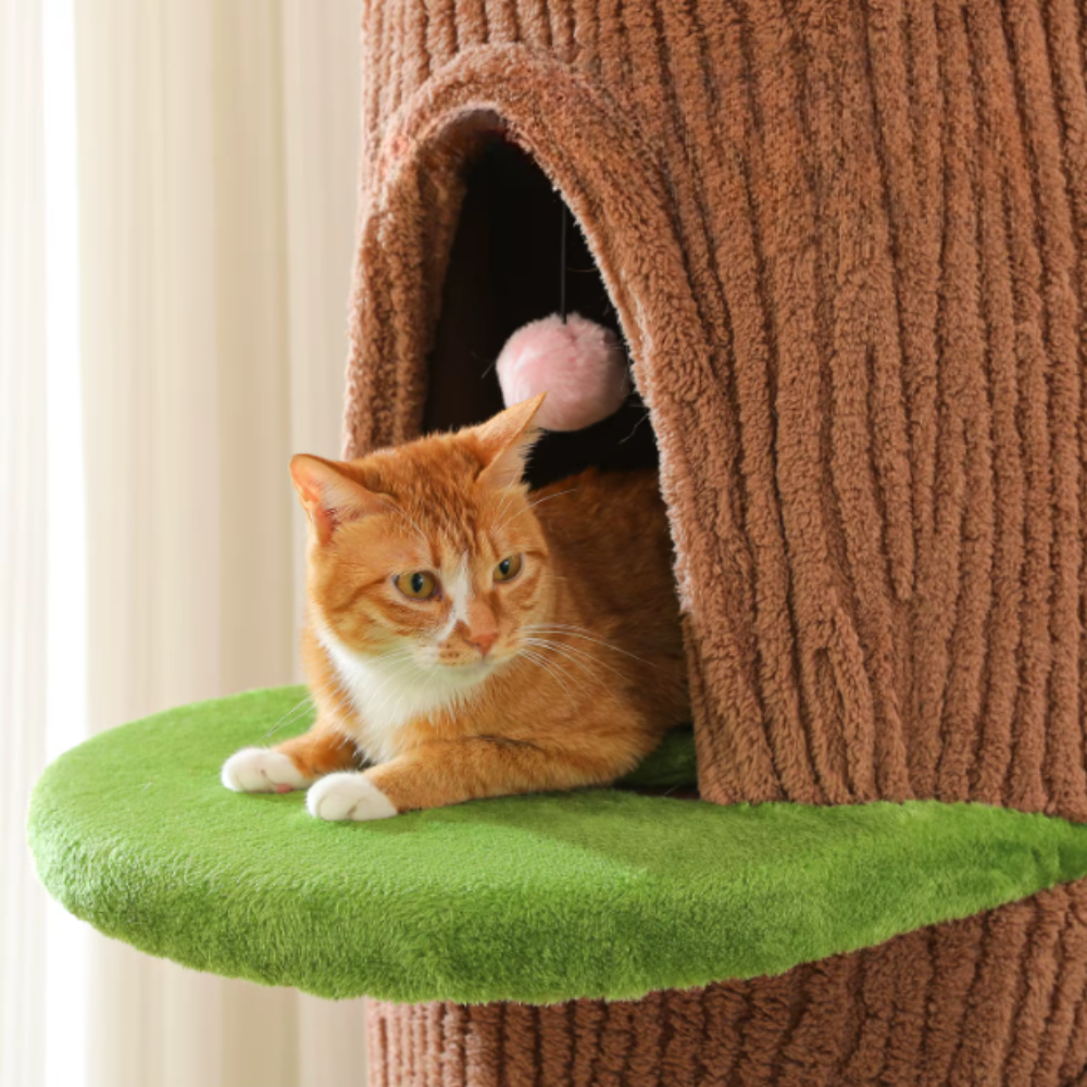 Arbre à chat multi-niveaux style tronc avec niches et plateformes